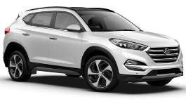 Passat car for rent